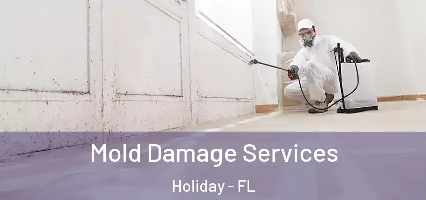  Mold Damage Services Holiday - FL