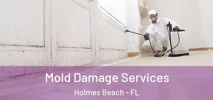  Mold Damage Services Holmes Beach - FL