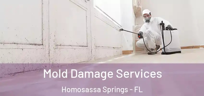  Mold Damage Services Homosassa Springs - FL