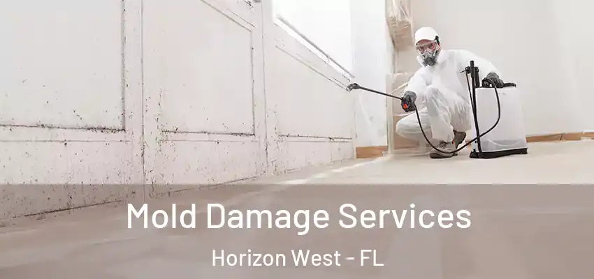  Mold Damage Services Horizon West - FL