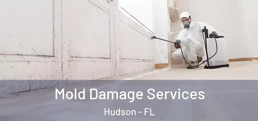  Mold Damage Services Hudson - FL