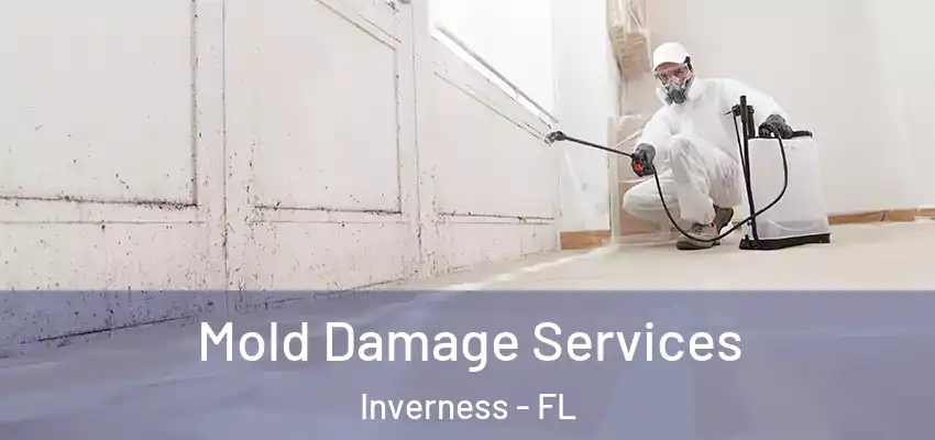 Mold Damage Services Inverness - FL