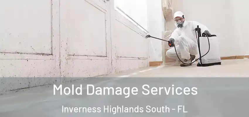  Mold Damage Services Inverness Highlands South - FL