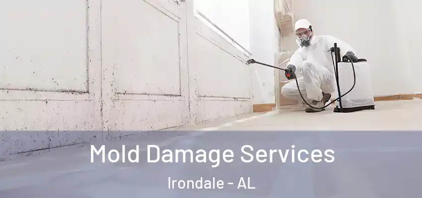  Mold Damage Services Irondale - AL