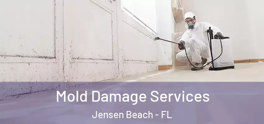  Mold Damage Services Jensen Beach - FL