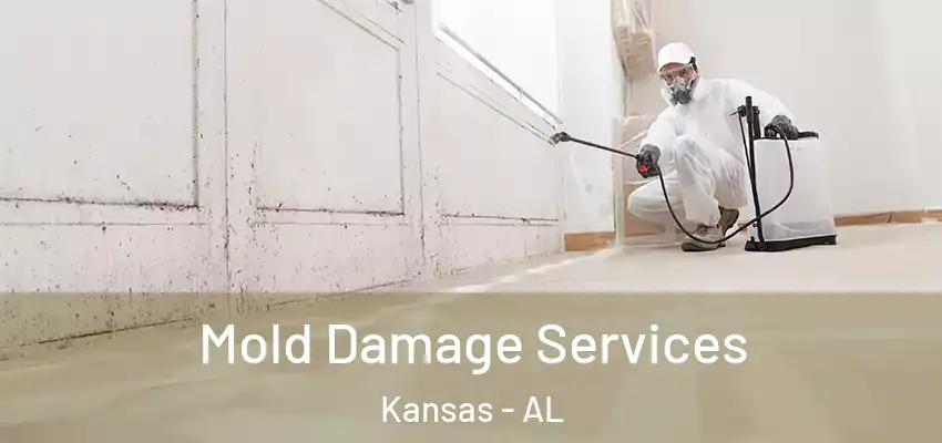 Mold Damage Services Kansas - AL