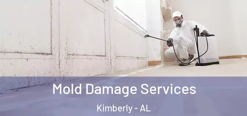  Mold Damage Services Kimberly - AL