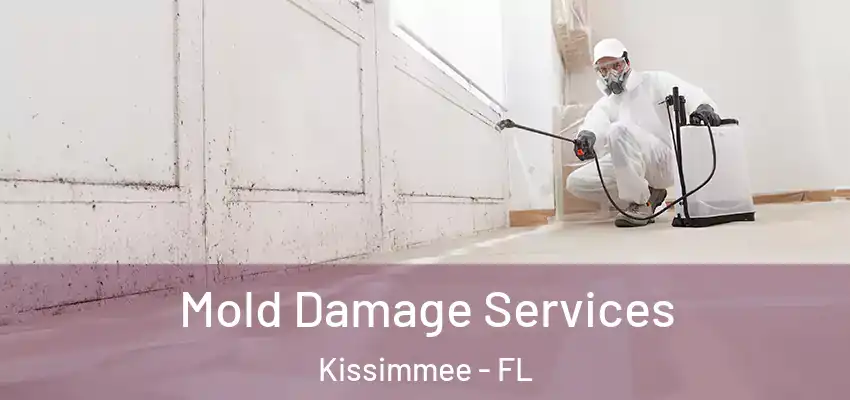  Mold Damage Services Kissimmee - FL