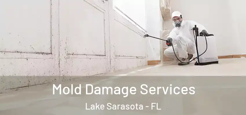  Mold Damage Services Lake Sarasota - FL