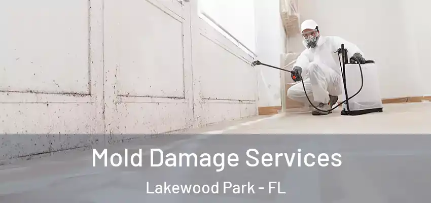  Mold Damage Services Lakewood Park - FL