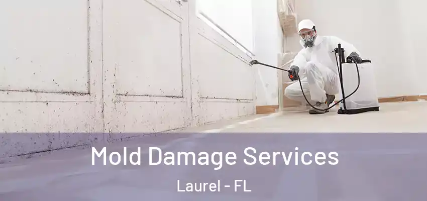  Mold Damage Services Laurel - FL