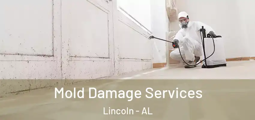  Mold Damage Services Lincoln - AL