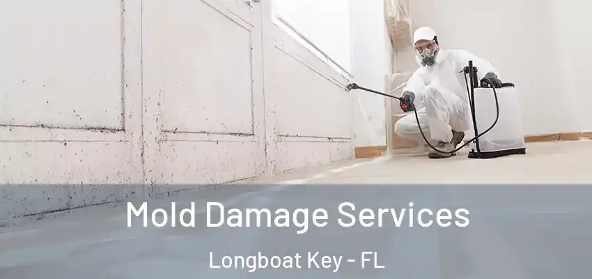  Mold Damage Services Longboat Key - FL