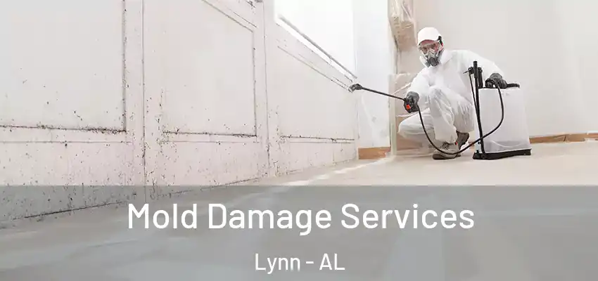 Mold Damage Services Lynn - AL