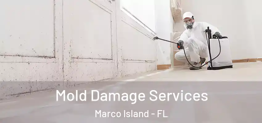  Mold Damage Services Marco Island - FL