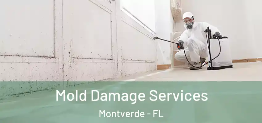 Mold Damage Services Montverde - FL