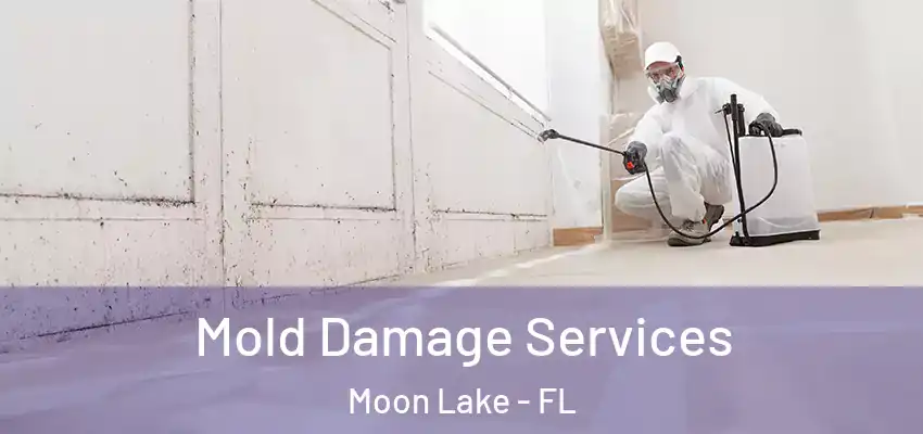  Mold Damage Services Moon Lake - FL