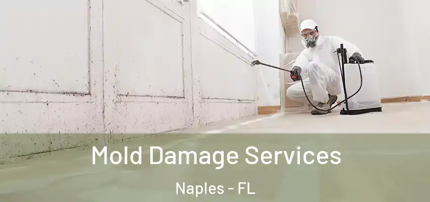  Mold Damage Services Naples - FL