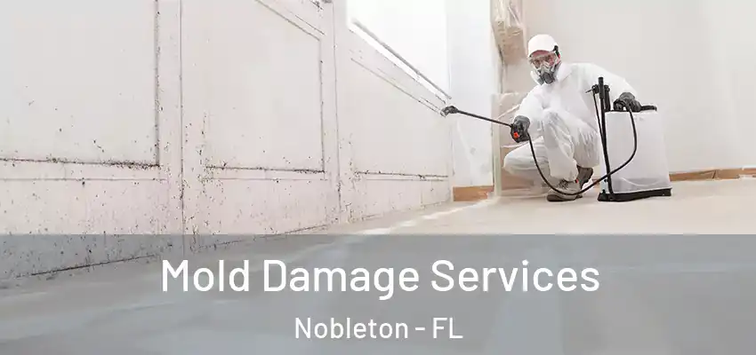 Mold Damage Services Nobleton - FL