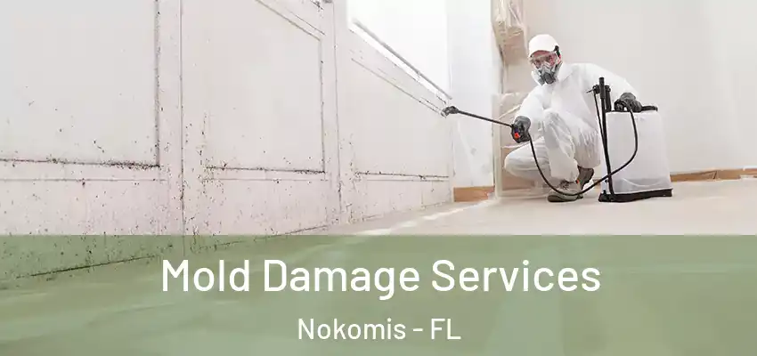  Mold Damage Services Nokomis - FL
