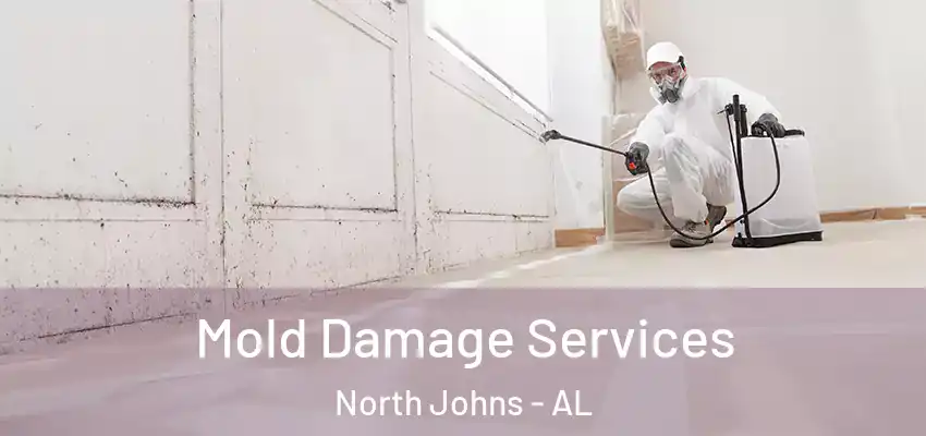  Mold Damage Services North Johns - AL