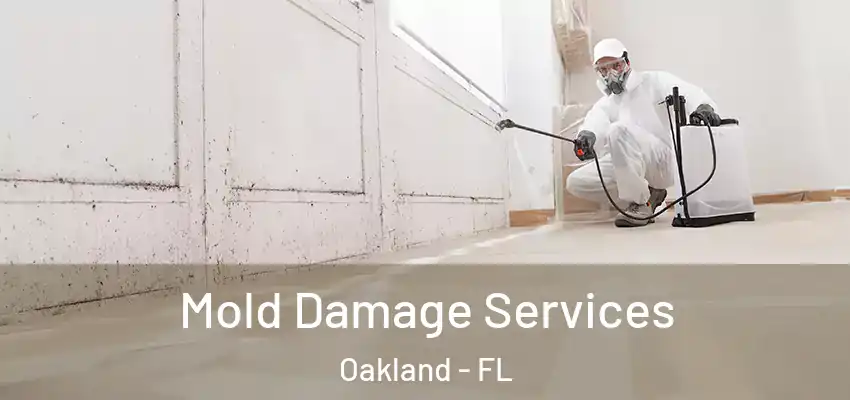 Mold Damage Services Oakland - FL