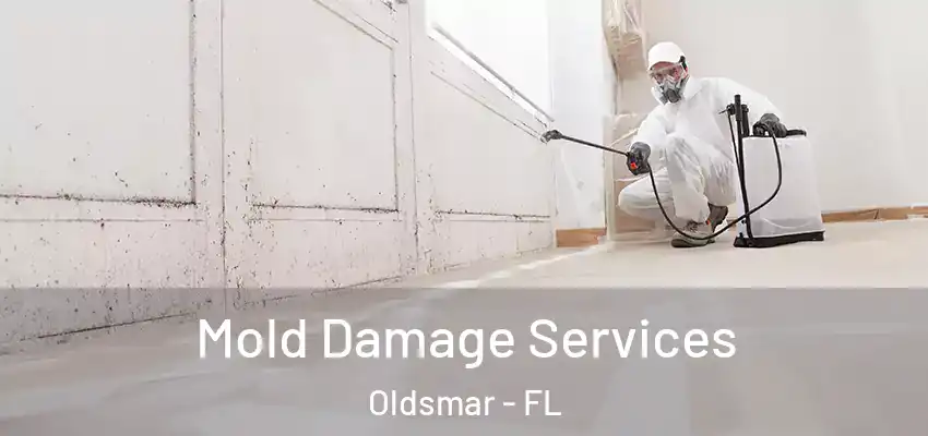 Mold Damage Services Oldsmar - FL