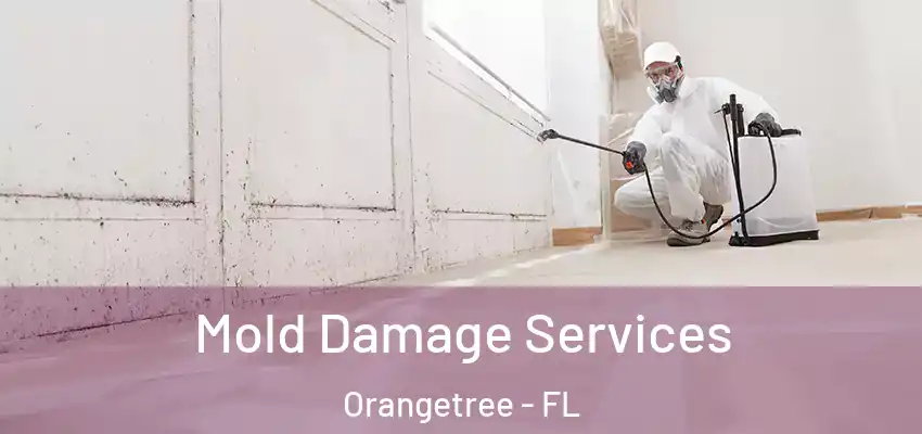  Mold Damage Services Orangetree - FL