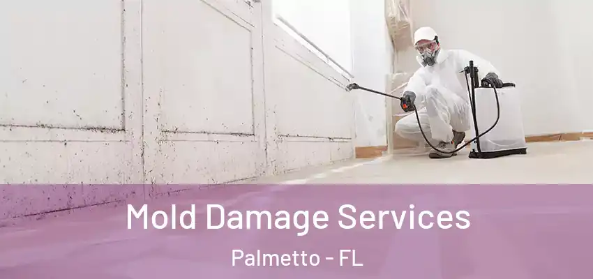  Mold Damage Services Palmetto - FL