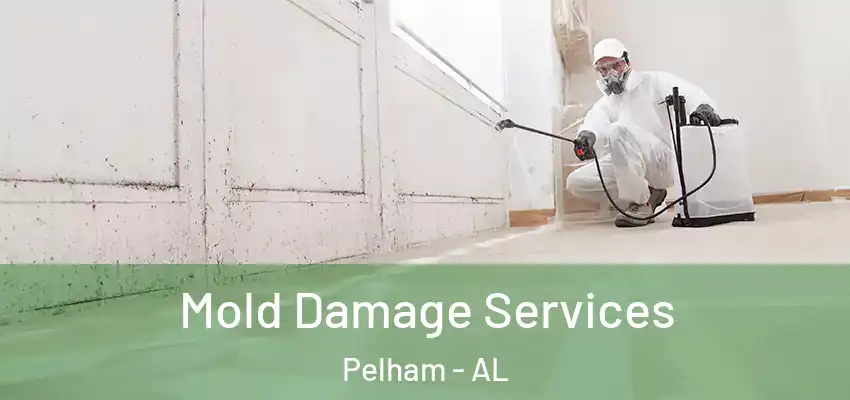  Mold Damage Services Pelham - AL