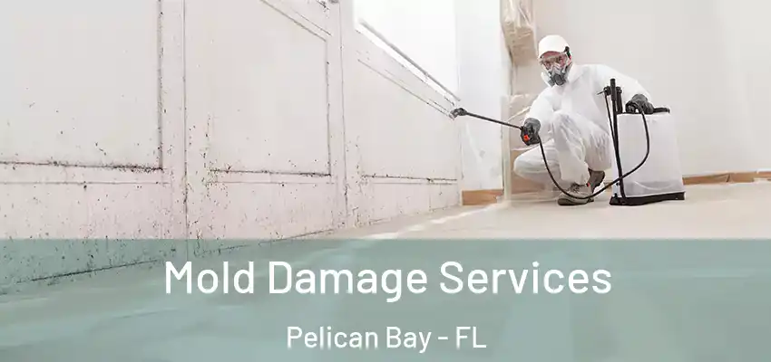  Mold Damage Services Pelican Bay - FL