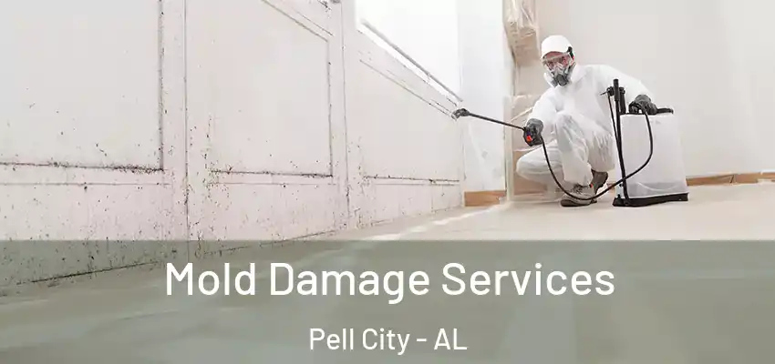  Mold Damage Services Pell City - AL