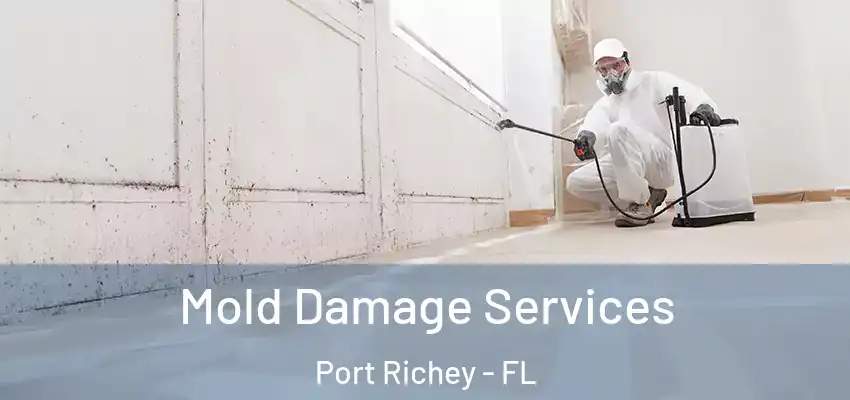  Mold Damage Services Port Richey - FL