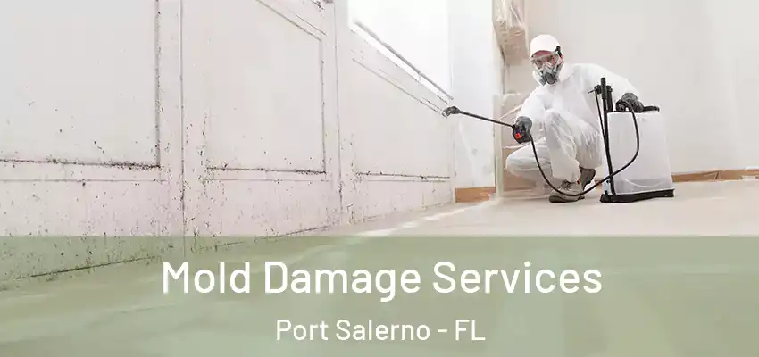  Mold Damage Services Port Salerno - FL