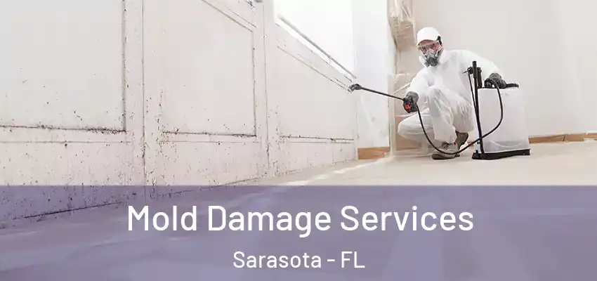  Mold Damage Services Sarasota - FL