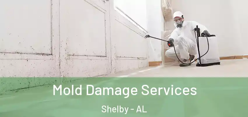  Mold Damage Services Shelby - AL