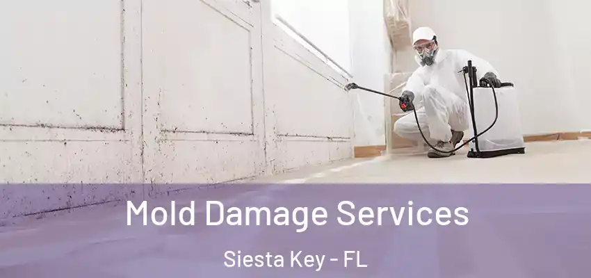  Mold Damage Services Siesta Key - FL
