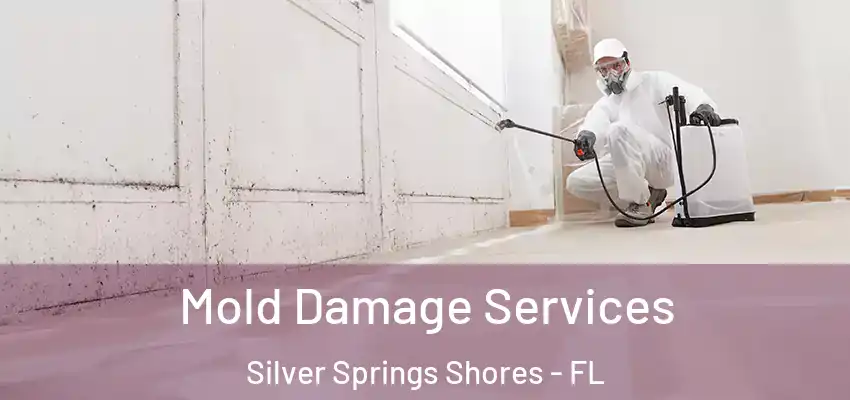  Mold Damage Services Silver Springs Shores - FL