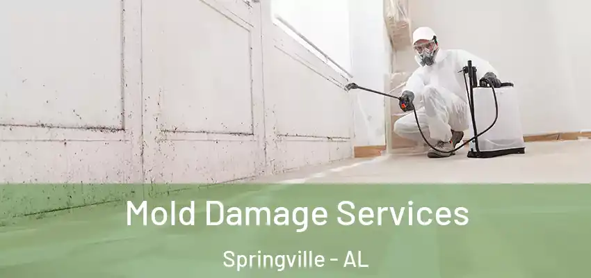 Mold Damage Services Springville - AL