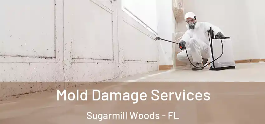  Mold Damage Services Sugarmill Woods - FL