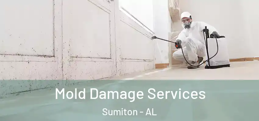 Mold Damage Services Sumiton - AL