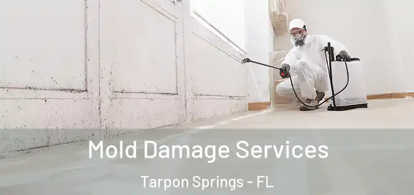  Mold Damage Services Tarpon Springs - FL