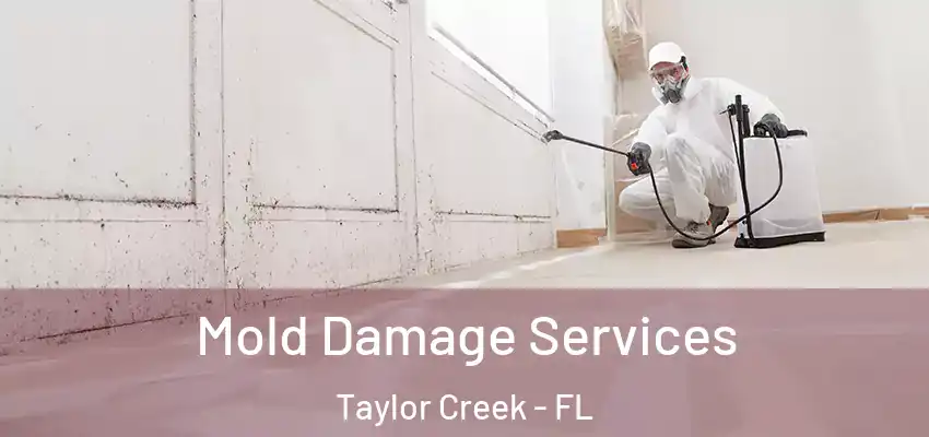  Mold Damage Services Taylor Creek - FL