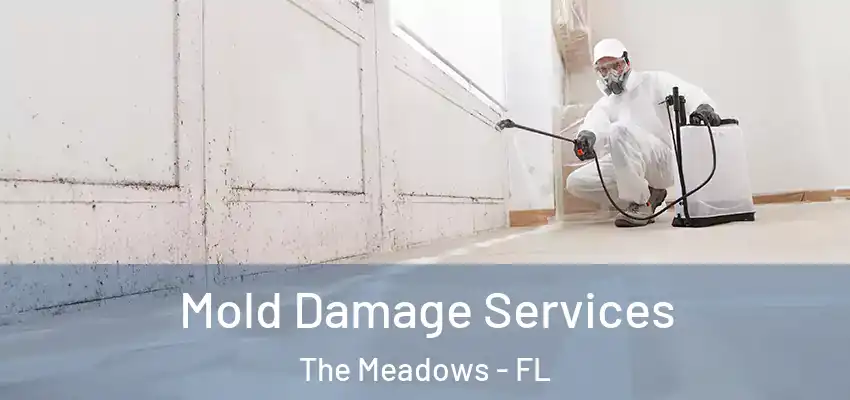  Mold Damage Services The Meadows - FL