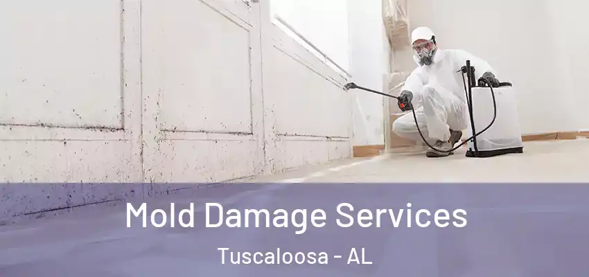  Mold Damage Services Tuscaloosa - AL