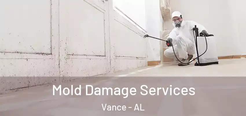 Mold Damage Services Vance - AL