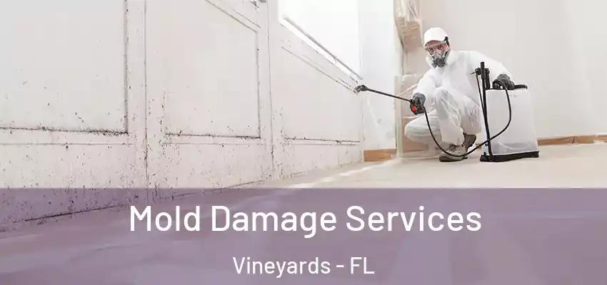  Mold Damage Services Vineyards - FL