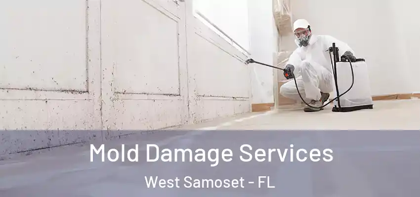  Mold Damage Services West Samoset - FL