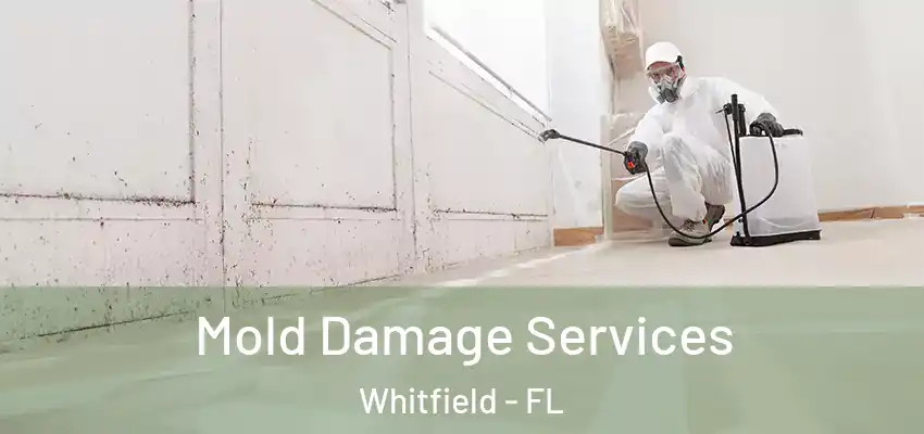  Mold Damage Services Whitfield - FL