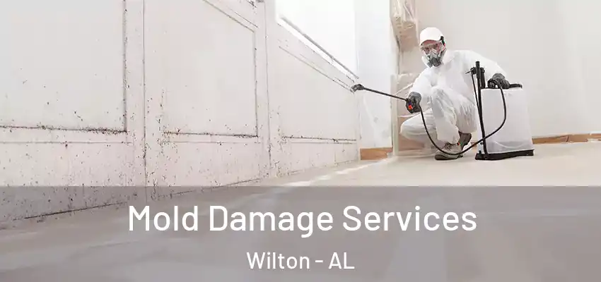  Mold Damage Services Wilton - AL